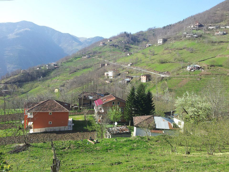 Araklı Kizirnos Kayacık Mahallesi